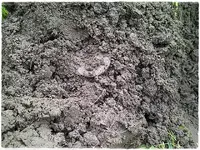 IMG-20130512-02179.webp