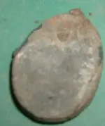 DSCF0037.webp