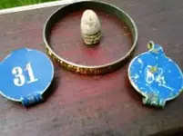 bracelet.webp