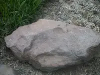100_6681.webp