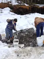 image-1301477520.webp