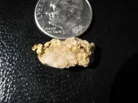 Reza's first nugget 077.webp