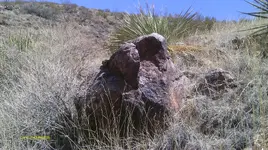 IMAG0336 (4).webp