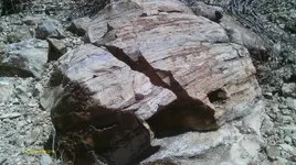 IMAG0329 (4).webp