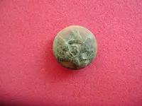 Eagle R button.webp