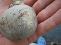 DSCN3353.webp