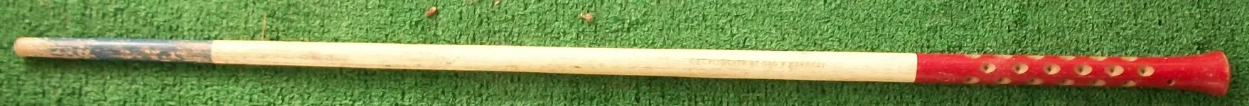 100_1824.webp