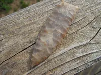 DSCN3369.webp