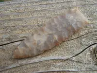 DSCN3370.webp