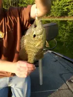 image-3403018322.webp image-3403018322.webp