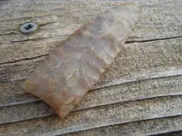 DSCN3371.webp