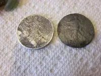 0520HALVES.webp