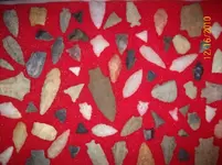 c7100_0816.webp