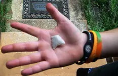 100_6981.webp