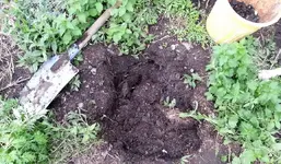 20130525_173542.webp