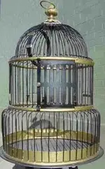 bird cage.webp