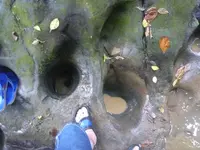 P1100236.webp