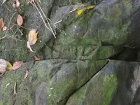 P1100241.webp