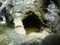 P1100080.webp