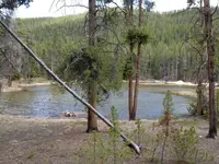 image-2714580306.webp