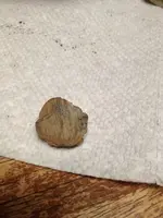 image-3701554661.webp