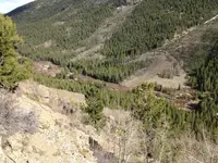 image-1543632276.webp