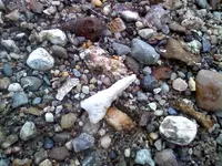 Drill insitu.webp