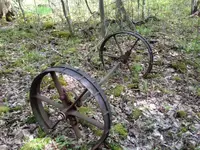 image-3935780027.webp