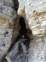 image-450766091.webp