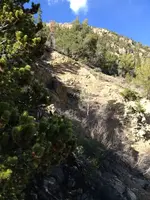 image-1750253549.webp