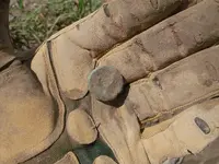 eagle hand.webp eagle hand.webp