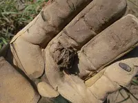 HD hand.webp