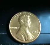 penny_F.webp