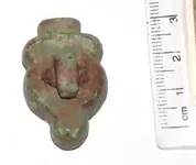 Matrita bila muscheta 2.webp