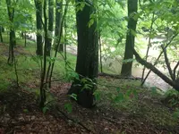 image-4071062946.webp