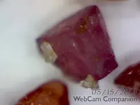 ArcSoft_Image3.webp