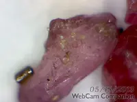 ArcSoft_Image5.webp