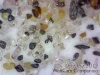 ArcSoft_Image9.webp
