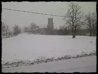'The Field' - Mar. 19.webp