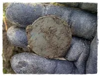 1831 British Penny 002.webp