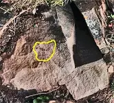 Rock1.webp
