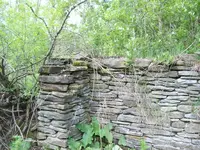 wall view.webp