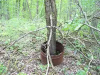 view barrel.webp