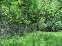 wall2.webp