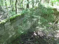 wall3.webp
