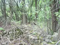 view wall.webp