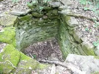 cellar.webp