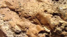 DSC00469.webp