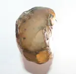 diamond 013.webp