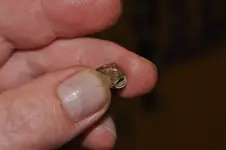 Tooth 2.webp